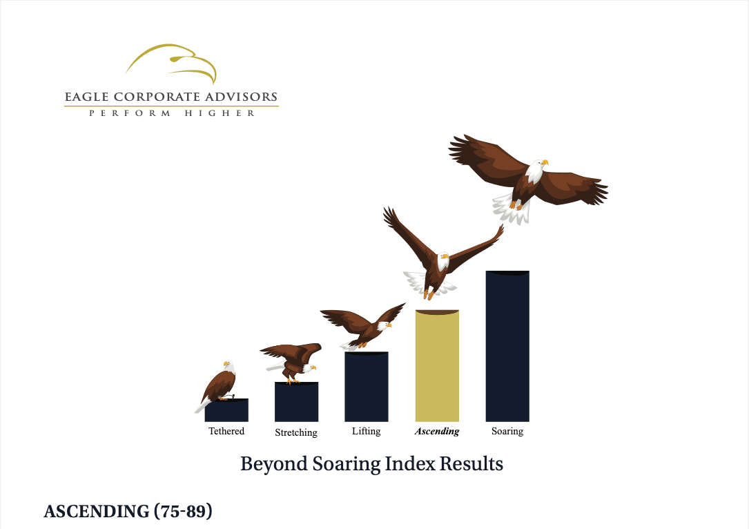 Beyond Soaring Index Results highlighting the Ascending tier