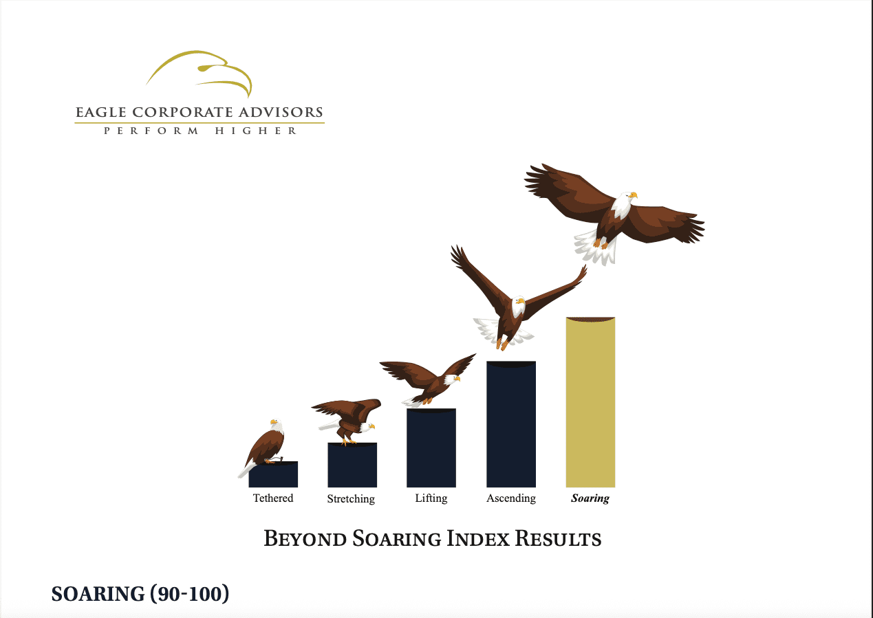 Beyond Soaring Index Results highlighting the Soaring tier