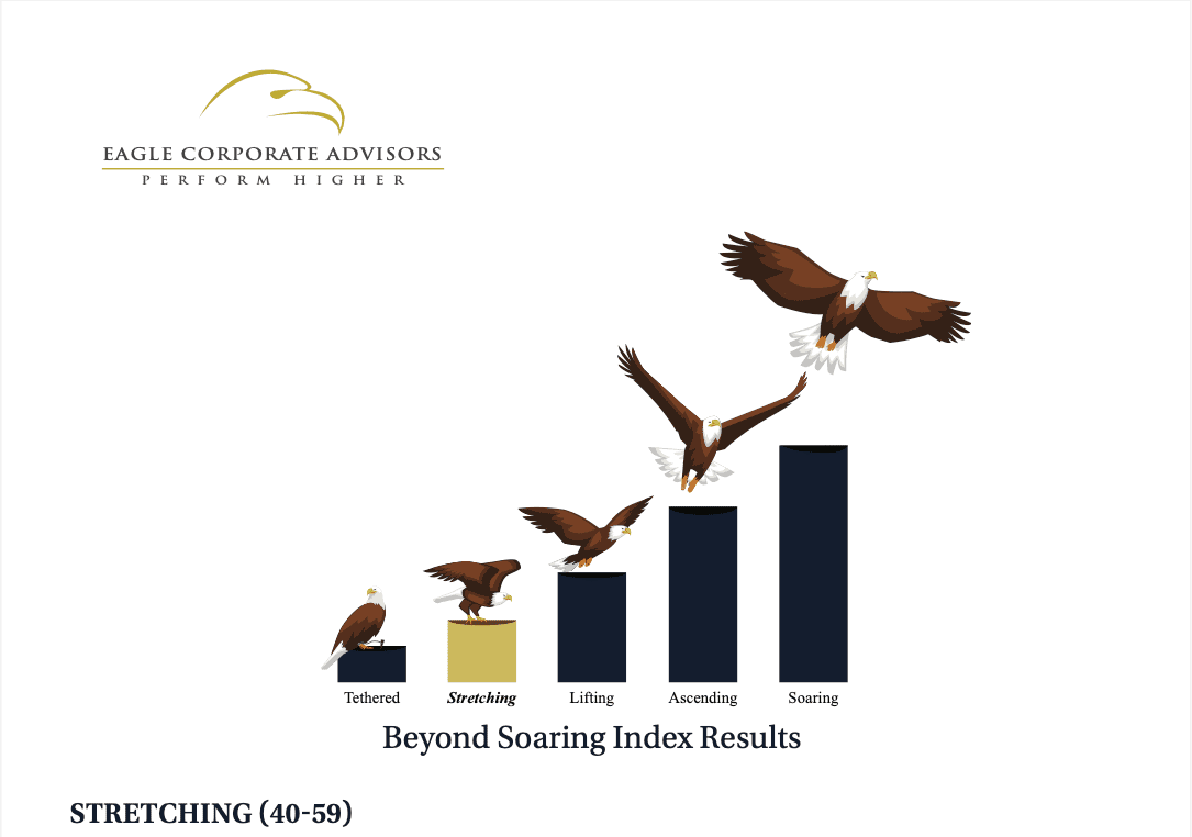 Beyond Soaring Index Results highlighting the stretching tier