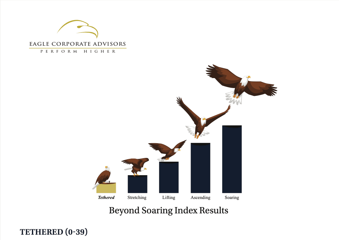 Beyond Soaring Index Results highlighting the tethered tier