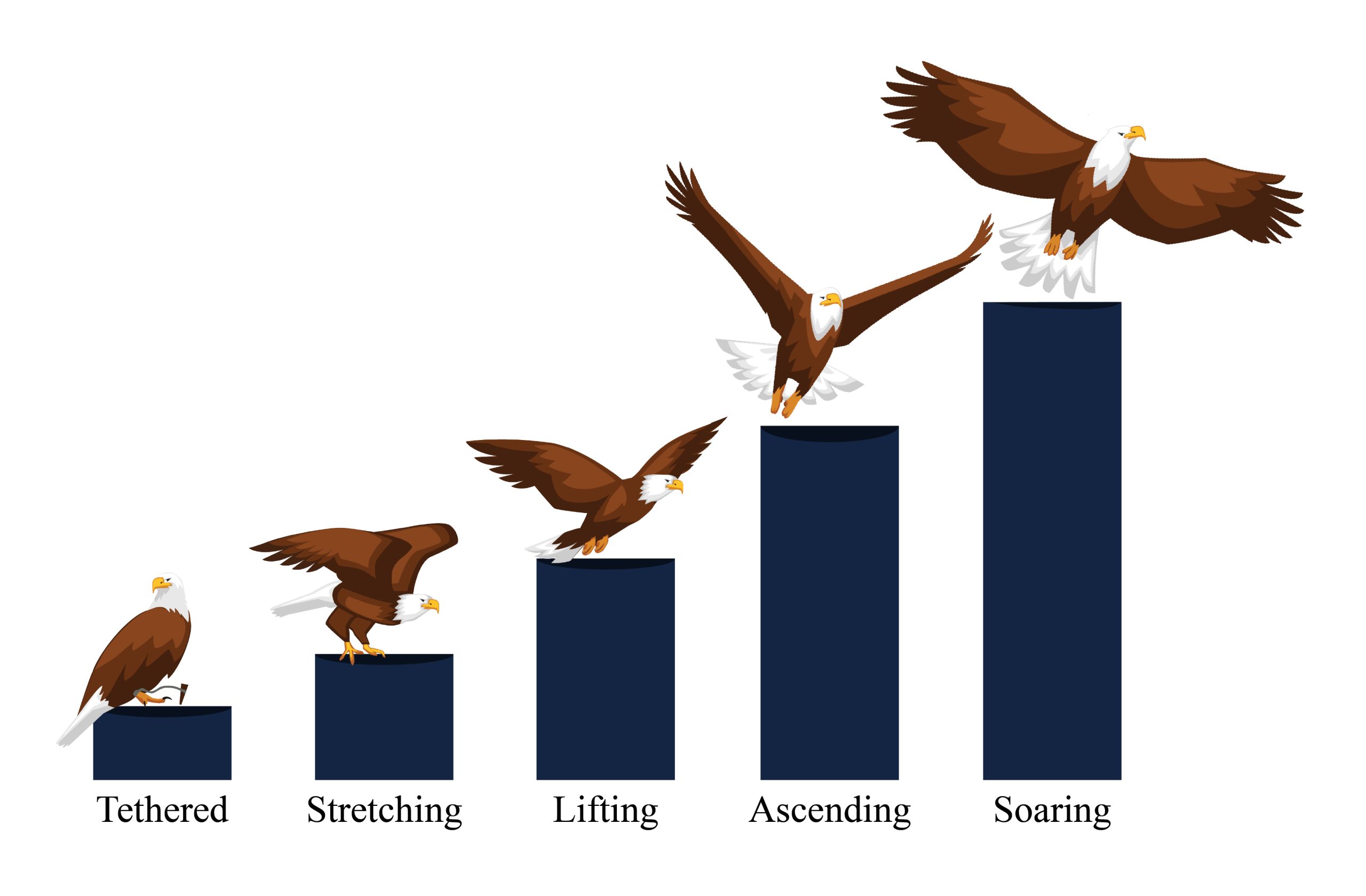 Beyond Soaring Index Assessment Results graph